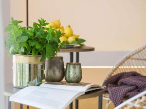 马蒂纳塔拜亚德勒扎加瑞酒店的一张桌子,上面有两株植物,上面有一本书