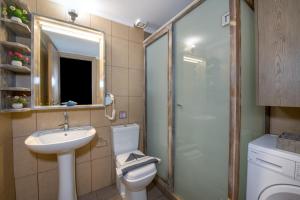 基萨莫斯Stelios & Stavros Apartment的浴室配有卫生间、盥洗盆和淋浴。