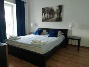 文戈热沃Apartament Żeglarski Vęgoria Deluxe的一间卧室配有一张带蓝色枕头的大床