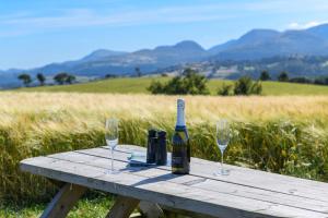 科尔温湾Waenfechan Glamping的一张带两杯酒的野餐桌上的一瓶葡萄酒