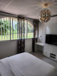 马罗尼河畔圣洛朗Hello-Guyane, Marina 5, Studio Prestige 5 étoiles的一间卧室设有一张床、一台电视和窗户。
