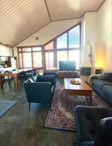 耶姆赛Himos Mökki superior - Chalet Cottage superior ski-in-ski-out的带沙发和咖啡桌的客厅