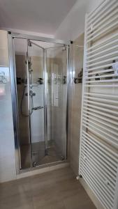 克利默内什蒂Casa Albinuța的浴室里设有玻璃门淋浴