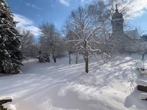 MontperreuxAncienne ferme comtoise 4 étoiles, 11 personnes Lac St-Point/Mont d'Or的一座有雪盖的庭院,里面种着树木,还有教堂