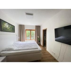 伏尔塔瓦河畔利普诺Lipno Port Apartment C101的一间卧室配有一张床和一台平面电视