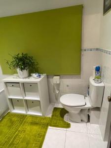 克罗伊登Cozy Homestay的一间带卫生间和绿色墙壁的浴室