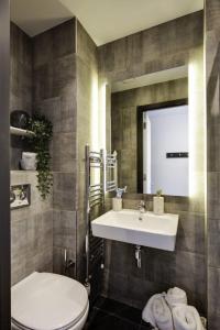 都柏林Cosy Ensuite Bedrooms at Aspen House in Dublin的一间带水槽、卫生间和镜子的浴室