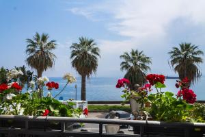 米拉佐Casa Marina的棕榈树和鲜花的海景
