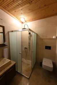 乌奇希萨尔卡帕多西亚亚丁酒店的带淋浴和卫生间的浴室。