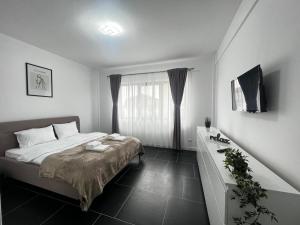苏恰瓦Cozy Aparthotel - Central City Suceava的一间卧室配有一张床、一个梳妆台和一扇窗户。