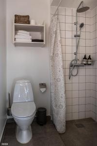 LiselejeLiseleje Badehotel的一间带卫生间和淋浴的浴室