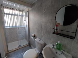 布莱克浦Black Ocean Holiday Apartments的一间带水槽、卫生间和镜子的浴室