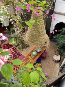 马拉喀什巧克力庭院旅馆的种着一篮花和一株植物的花园