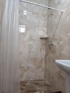 古达乌塔Diamond Eco Hotel的带淋浴和盥洗盆的浴室
