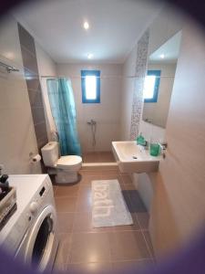 迈加洛丘里La casa azul的浴室配有卫生间水槽和洗衣机。