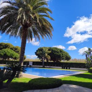 坎布里尔斯LuxuryCambrils Resort&Spa的游泳池旁的棕榈树
