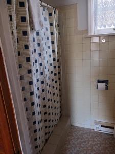 伊利White Pine Motel的带淋浴和浴帘的浴室