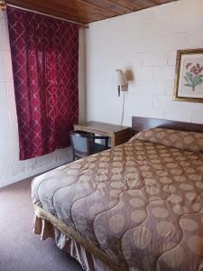 伊利White Pine Motel的一间卧室配有一张大床和一张书桌