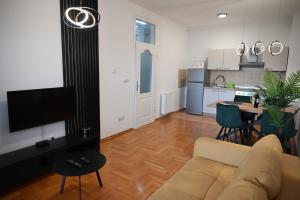 武科瓦尔Apartman Tena的带沙发的客厅和厨房