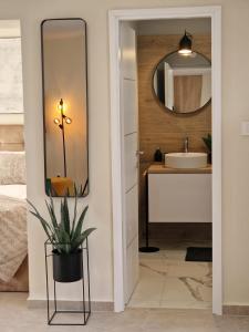 温克兰Studio Apartment Mare with private garden and jacuzzi的一间带水槽和镜子的浴室