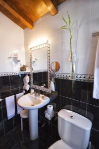 英垂阿格拉埃尔辛纳酒店的一间带水槽、卫生间和镜子的浴室