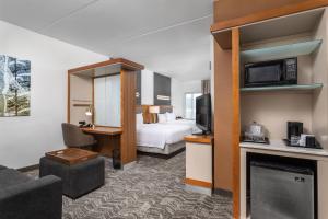 查塔努加查塔努加金马港斯普林希尔市中心万豪套房酒店的酒店客房设有床和客厅。