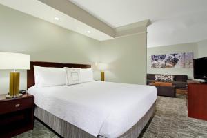 切萨皮克切萨皮克绿蔷薇春季山丘套房的卧室配有一张白色的大床和一张沙发。
