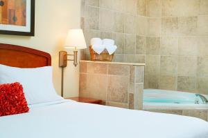 森特尼尔丹佛南园梅多斯购物中心万怡酒店的一间卧室配有一张床和浴缸