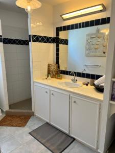 Oyster PondLEN'HOUSE的一间带水槽和镜子的浴室