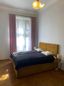 弗罗茨瓦夫Apt * Stella的一间卧室设有一张大床和窗户