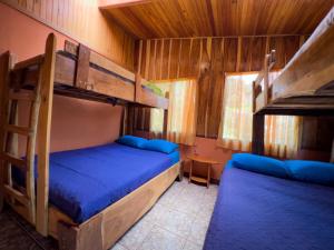 蒙泰韦尔德哥斯达黎加Casa Tranquilo Hostel的小屋内设有一间带两张双层床的卧室