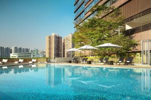 香港香港沙田万怡酒店的一座大楼内的游泳池,配有椅子和遮阳伞