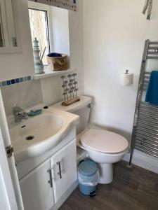 德拉布尔Rural cosy retreat for two near Port Isaac的浴室配有白色卫生间和盥洗盆。