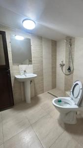 拉姆尼库沃尔恰Cazare Vila GOG - Rm Valcea-Salina Ocnele Mari的一间带卫生间和水槽的浴室