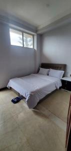 亚的斯亚贝巴Cozy 3bedrooms Apartment的卧室配有一张大白色床和窗户