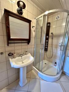 比亚沃维耶扎Leśne PoBudki的一间带水槽和淋浴的浴室
