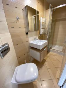 奥格罗杰涅茨SKALNY apartamenty, pokoje的浴室配有卫生间、盥洗盆和淋浴。