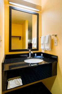 伯利恒阿伦敦伯利恒/利哈伊谷机场万豪费尔菲尔德套房酒店的一间带水槽和大镜子的浴室