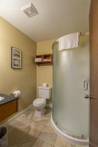 阿尔马高山汽车旅馆的一间带卫生间和淋浴的浴室