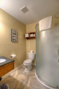 阿尔马高山汽车旅馆的带淋浴、卫生间和盥洗盆的浴室