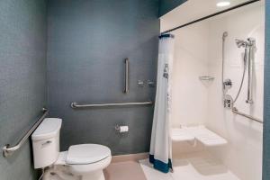 拉皮德城拉皮德城原住客栈的一间带卫生间和淋浴的浴室