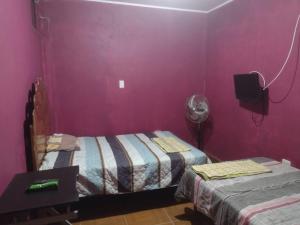 纳斯卡flying monkey hostel的配有紫色墙壁和风扇的客房内的两张床