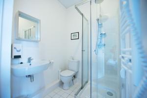 维尔纽斯Rooms and Suites at Bookinn B&B的浴室配有卫生间、盥洗盆和淋浴。