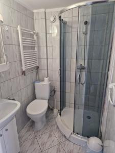 切霍齐内克Willa AGAT的带淋浴、卫生间和盥洗盆的浴室