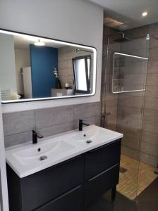 孔卡尔诺Maison d'architecte avec SPA的浴室配有白色水槽和淋浴。