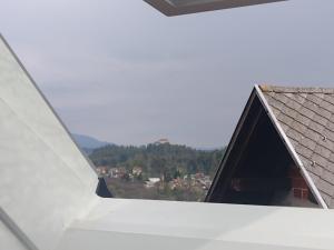 佐尔尼耶戈迪Pr' Hribar的从屋顶的窗户欣赏美景