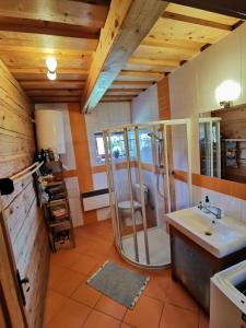 日亚尔Drevenica Západné Tatry的带淋浴和盥洗盆的浴室