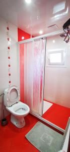 卡赞勒克Rose valley guest house的一间带卫生间和淋浴的浴室