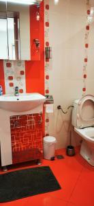 卡赞勒克Rose valley guest house的一间带水槽和卫生间的浴室