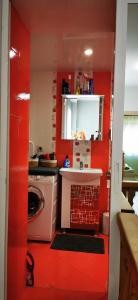 卡赞勒克Rose valley guest house的厨房设有红色的墙壁、洗衣机和烘干机